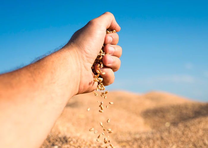 Commodity Trading